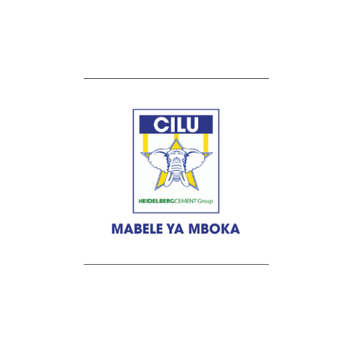 Partner logo 11