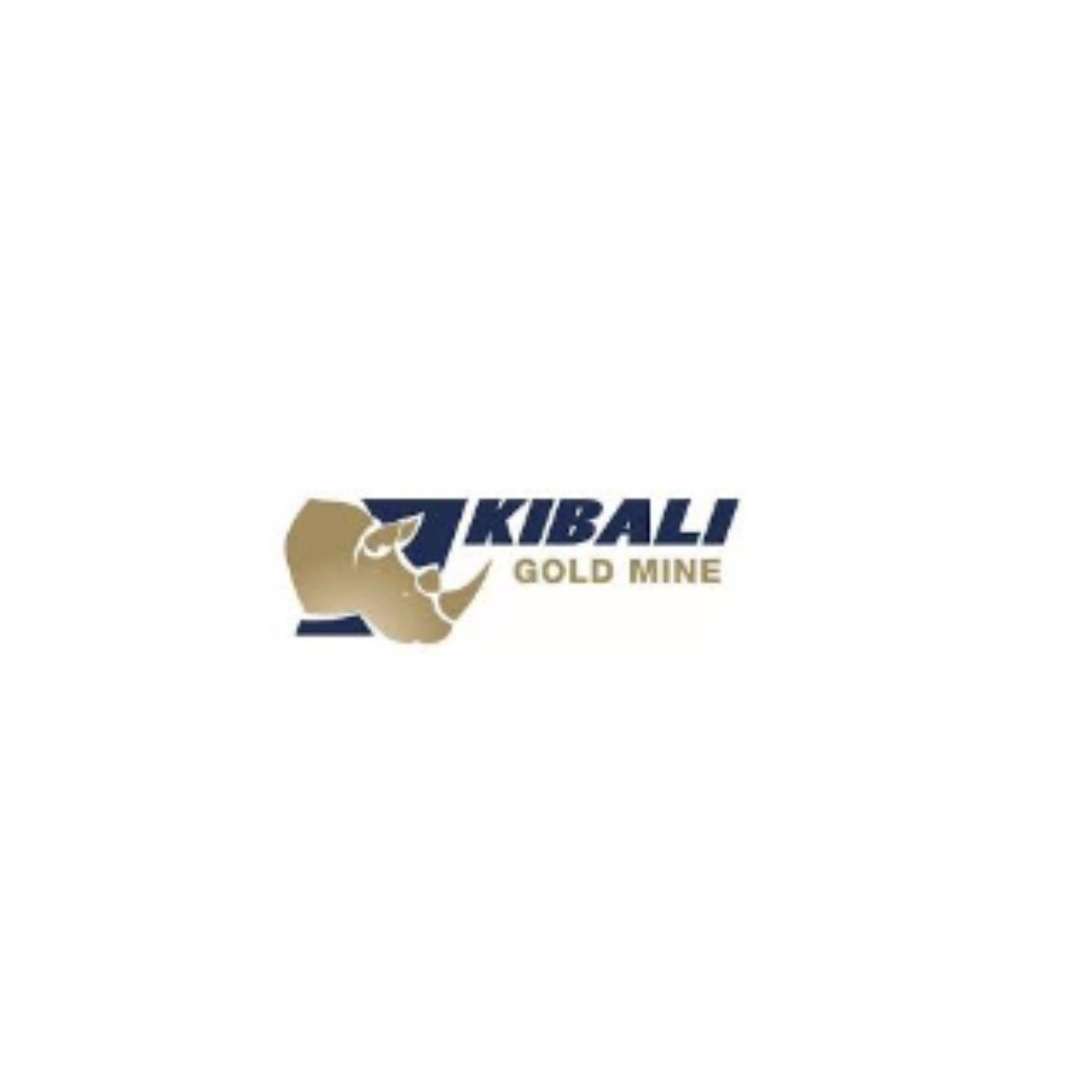 Partner logo 1